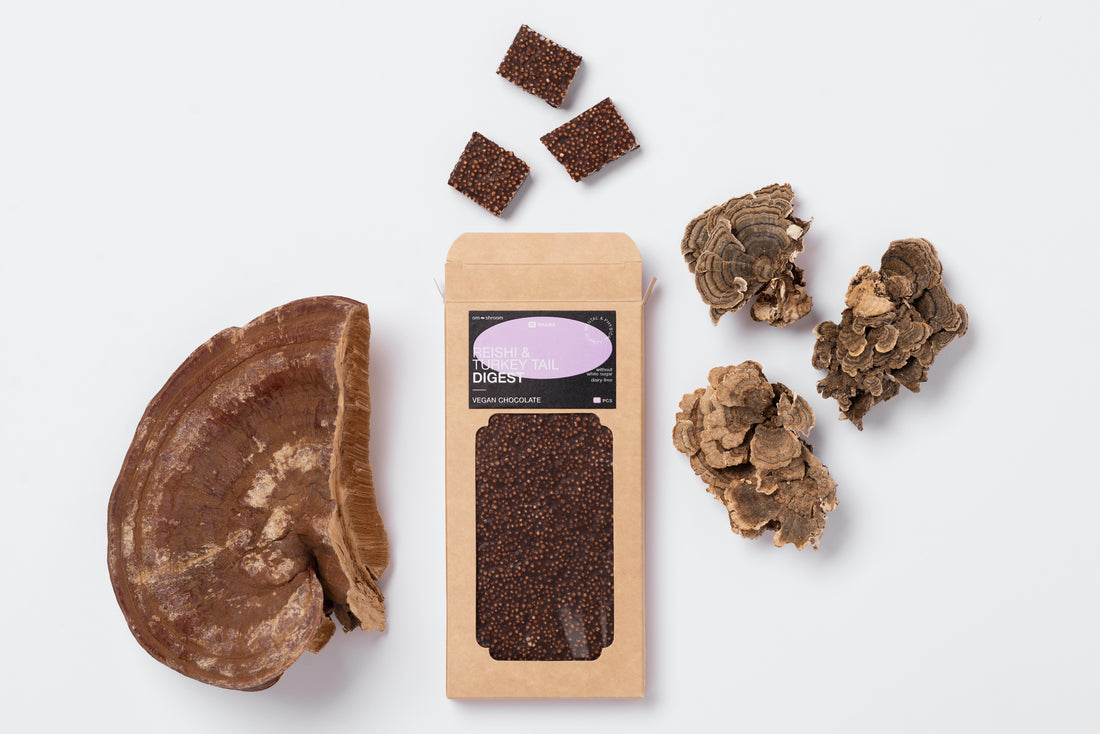 Reishi & Turkey Tail Chocolate