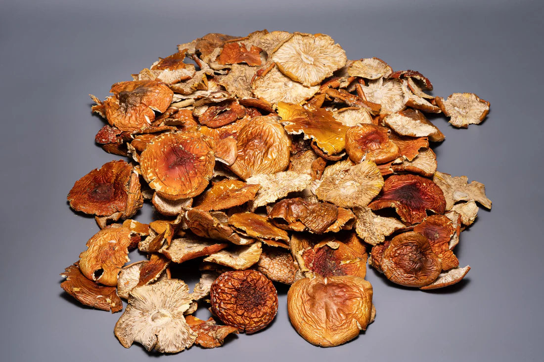 Amanita Muscaria whole caps (Bulk orders, pack 0,5 kg, minimum order 1 kg)