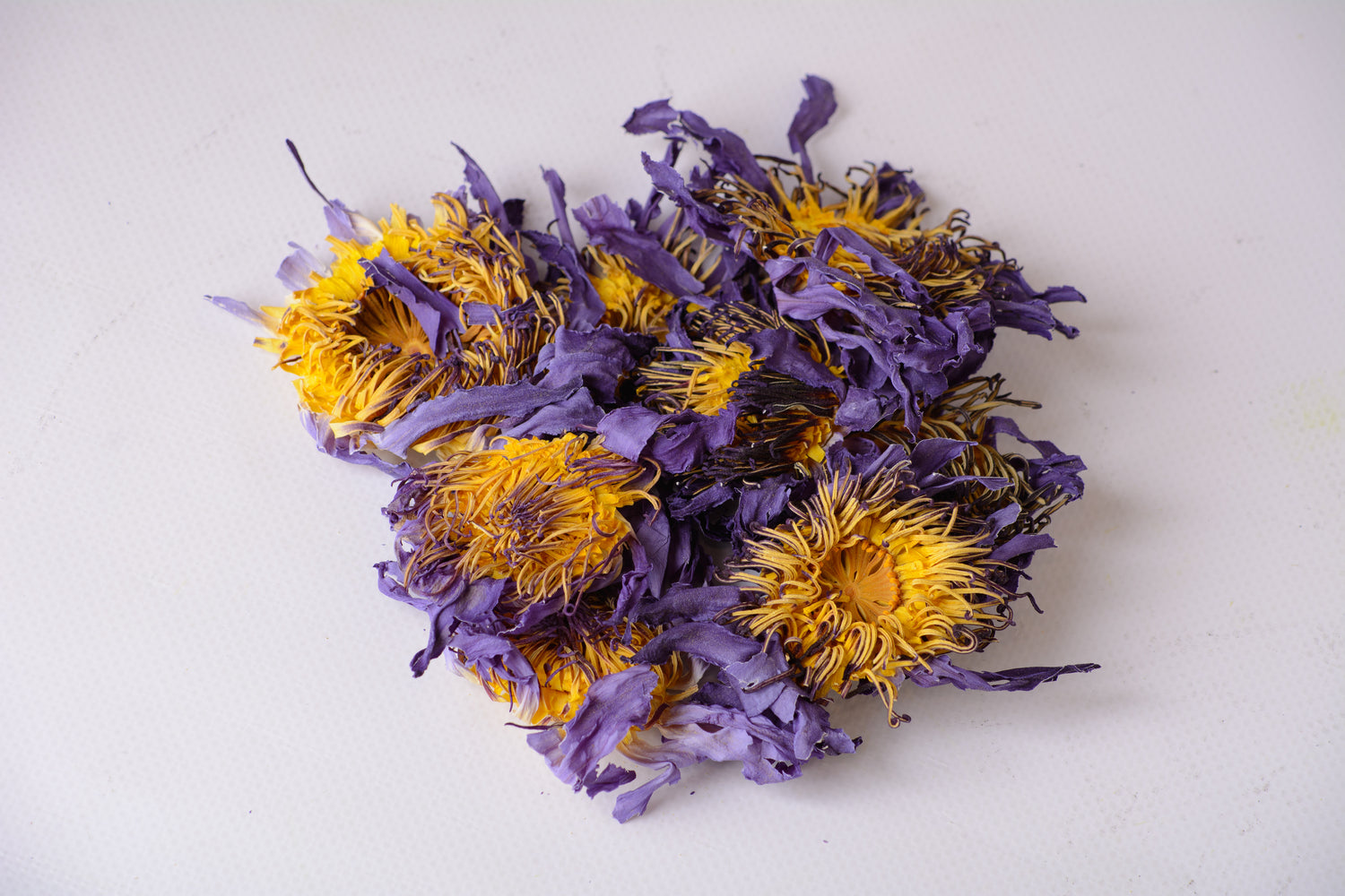 Blue Lotus flowers (Bulk orders, pack 0,5 kg, minimum order 1 kg)
