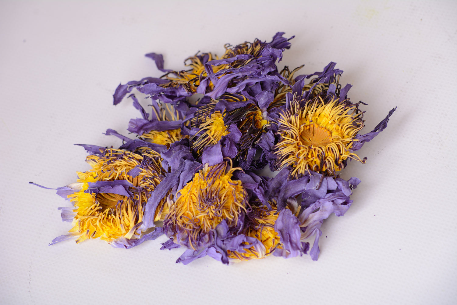 Blue Lotus flowers (Bulk orders, pack 0,5 kg, minimum order 1 kg)