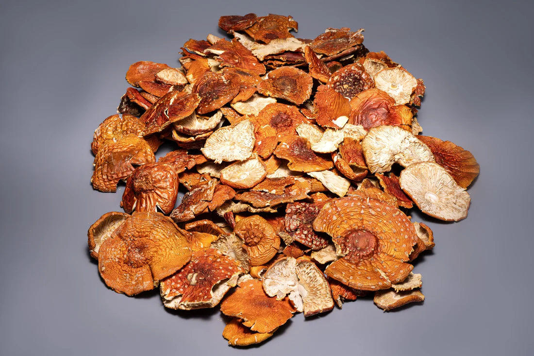 Amanita Muscaria whole caps (Bulk orders, pack 0,5 kg, minimum order 1 kg)