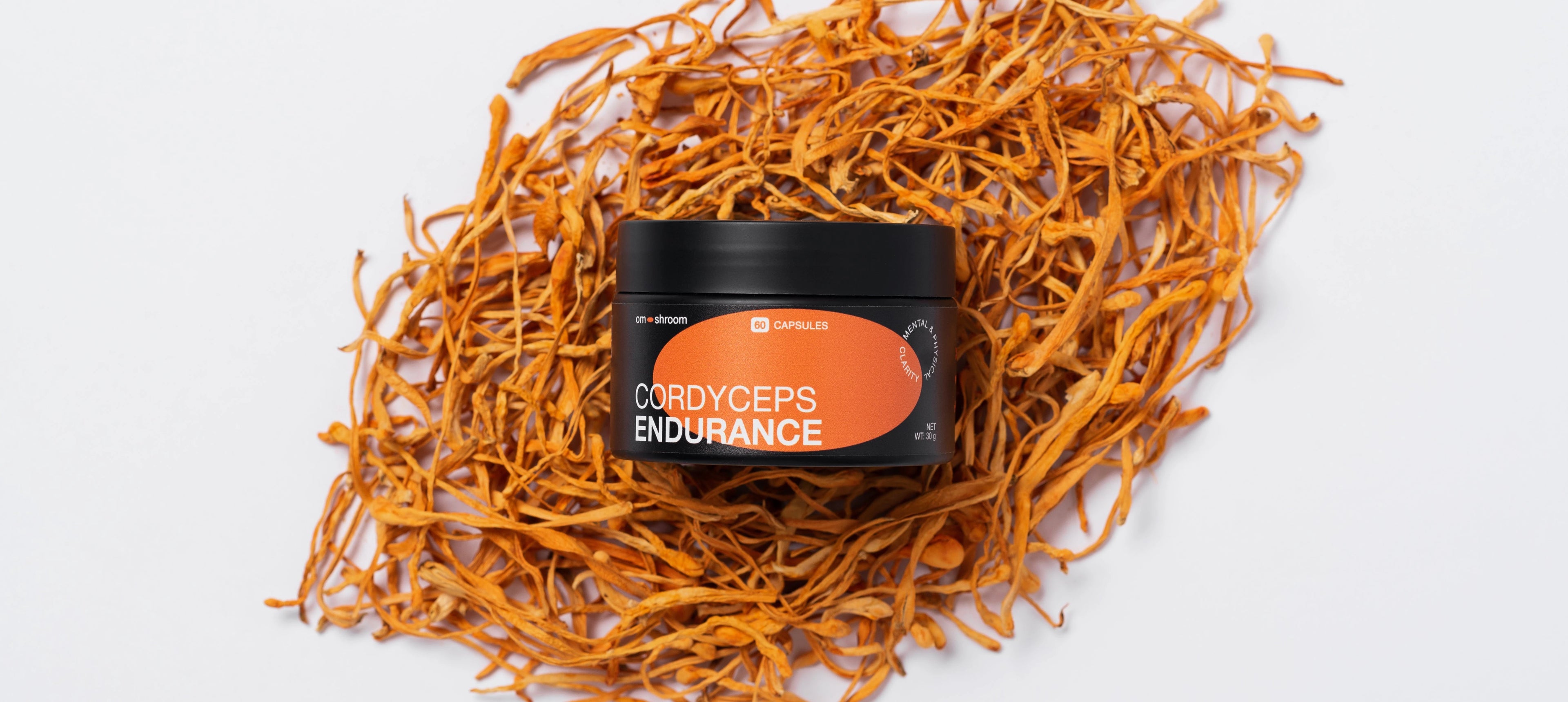 Cordyceps Militaris