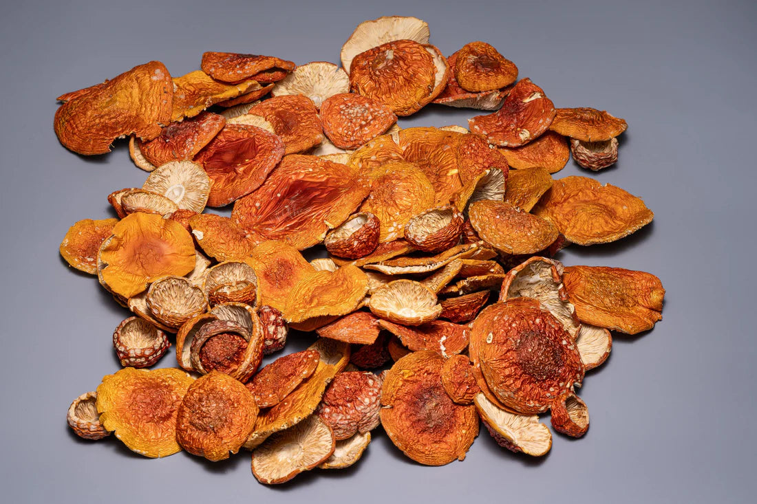 Amanita Muscaria whole caps (Bulk orders, pack 0,5 kg, minimum order 1 kg)