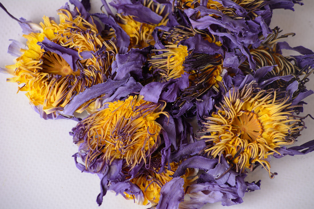 Blue Lotus flowers (Bulk orders, pack 0,5 kg, minimum order 1 kg)