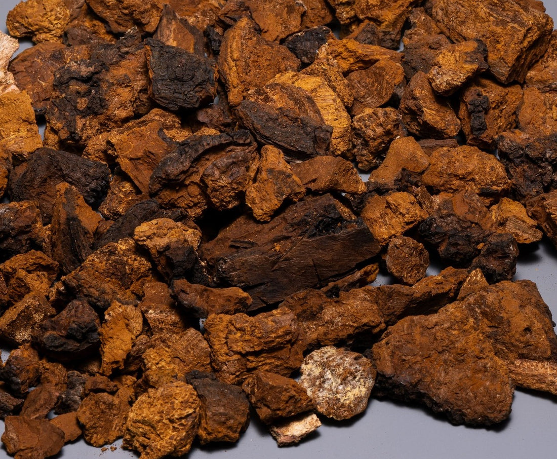 Chaga whole mushroom (Bulk orders, pack 1 kg)