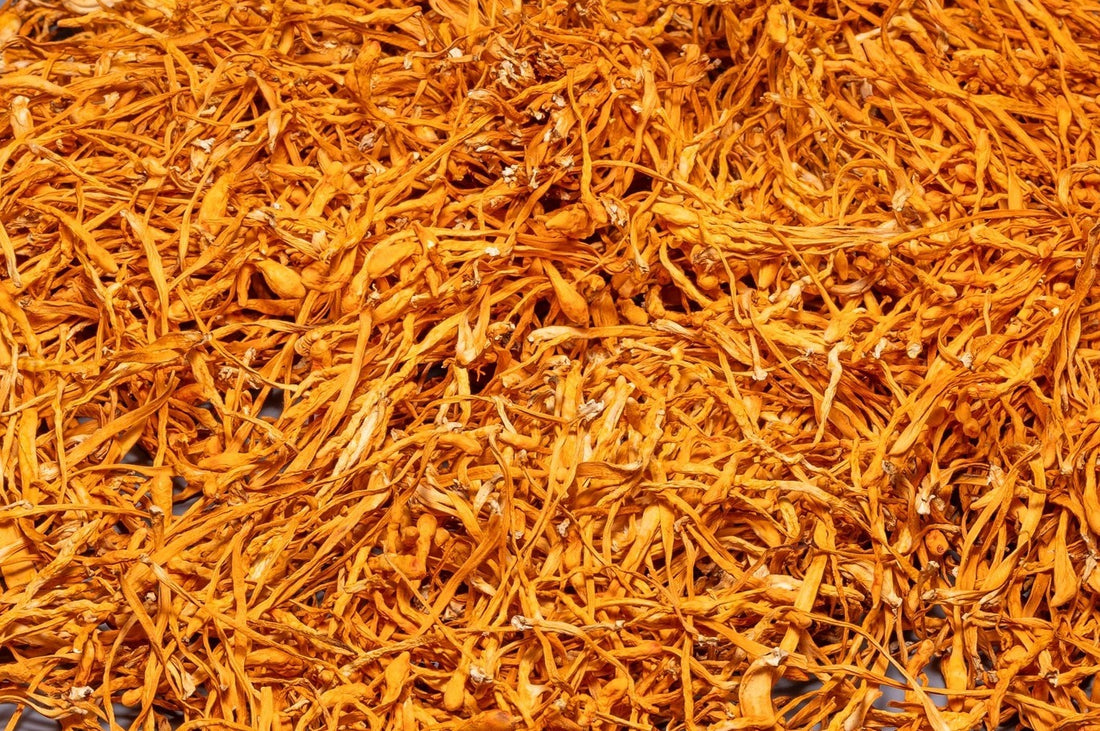 Cordyceps Militaris whole mushroom (Bulk orders, pack 1 kg)