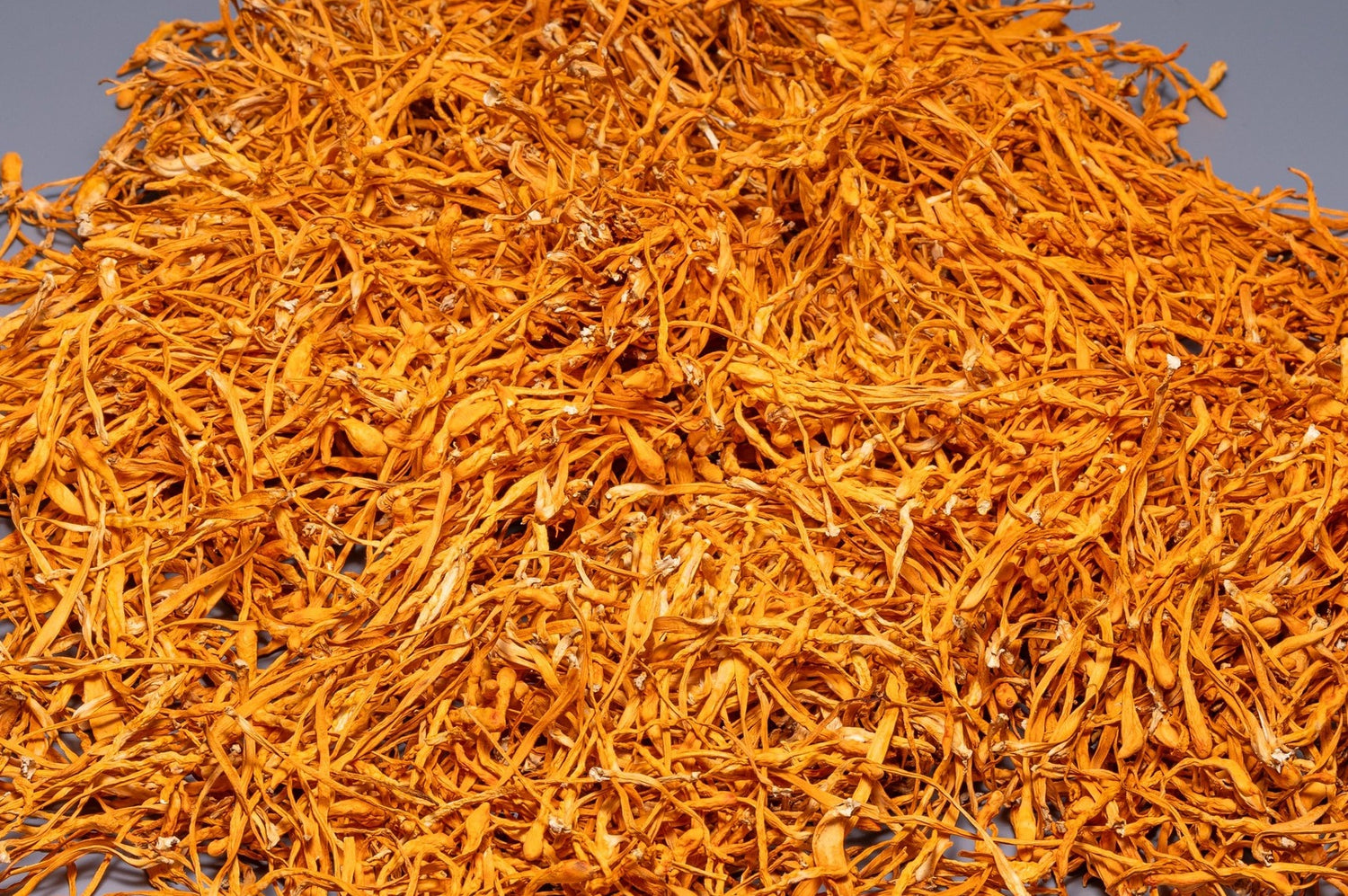 Cordyceps Militaris whole mushroom (Bulk orders, pack 1 kg)