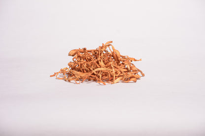 Cordyceps Militaris whole mushroom (Bulk orders, pack 1 kg)