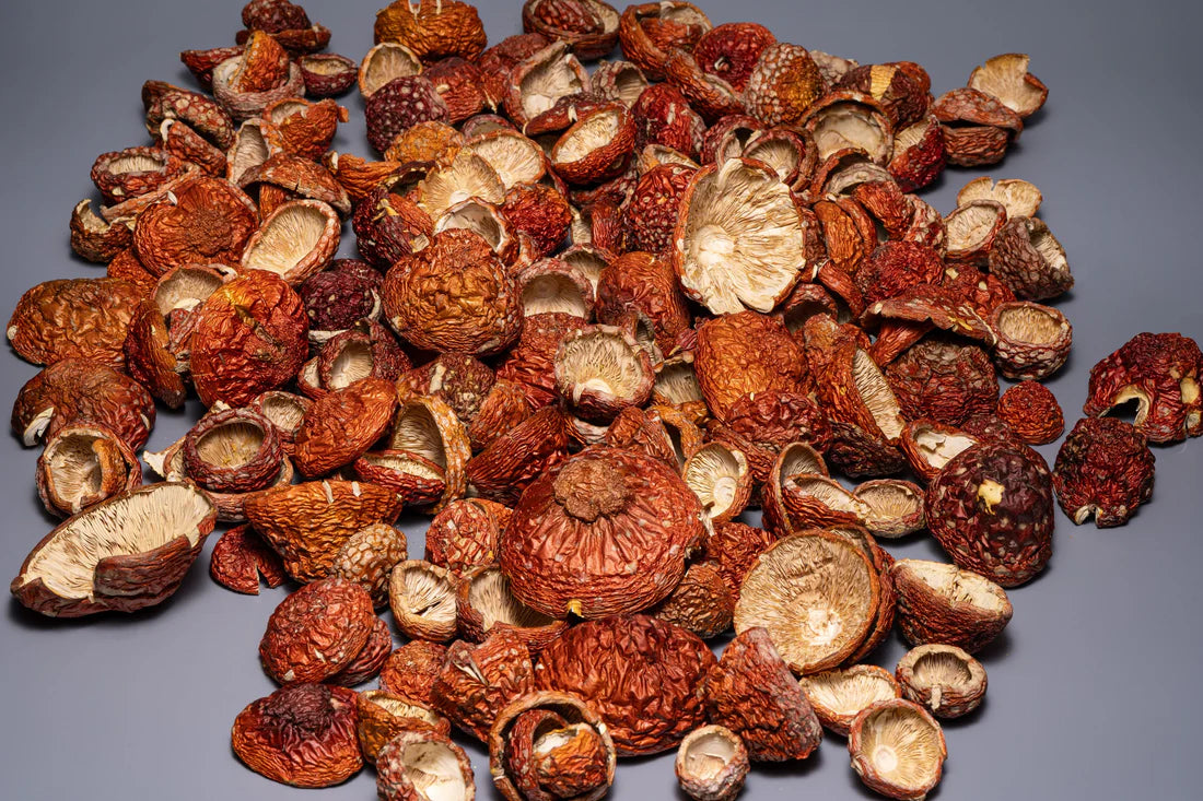 Amanita Muscaria whole caps (Bulk orders, pack 0,5 kg, minimum order 1 kg)
